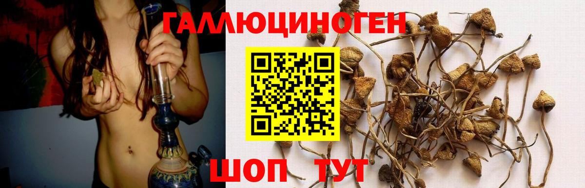Галлюциногенные грибы ЛСД  Вход с VPN  Екатеринбург  Галлюциногенные грибы Cubensis 